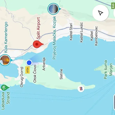 Magnolia تروغير